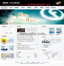 山東濟南網絡公司 高端網站建設與程序開發服務